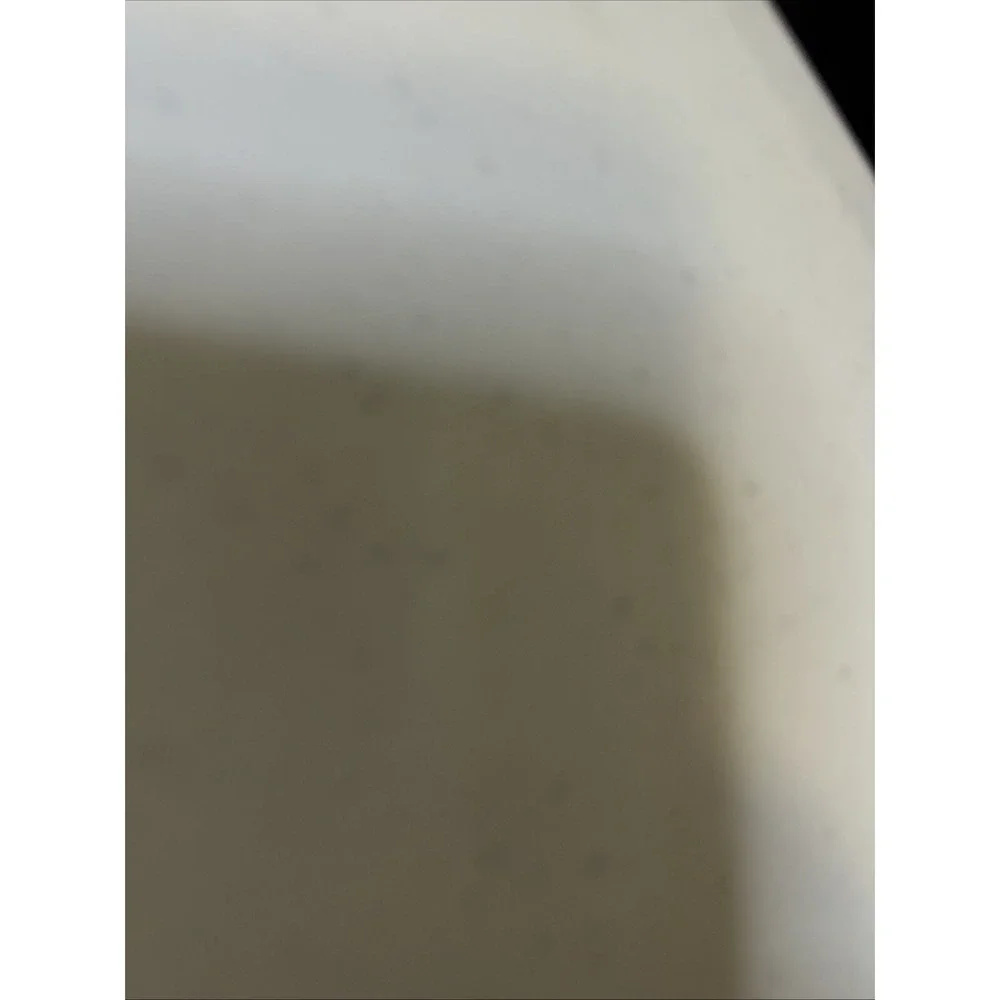 Christian DIOR Shopping Paper Gift Bag Pebbled Textured White ((0487)